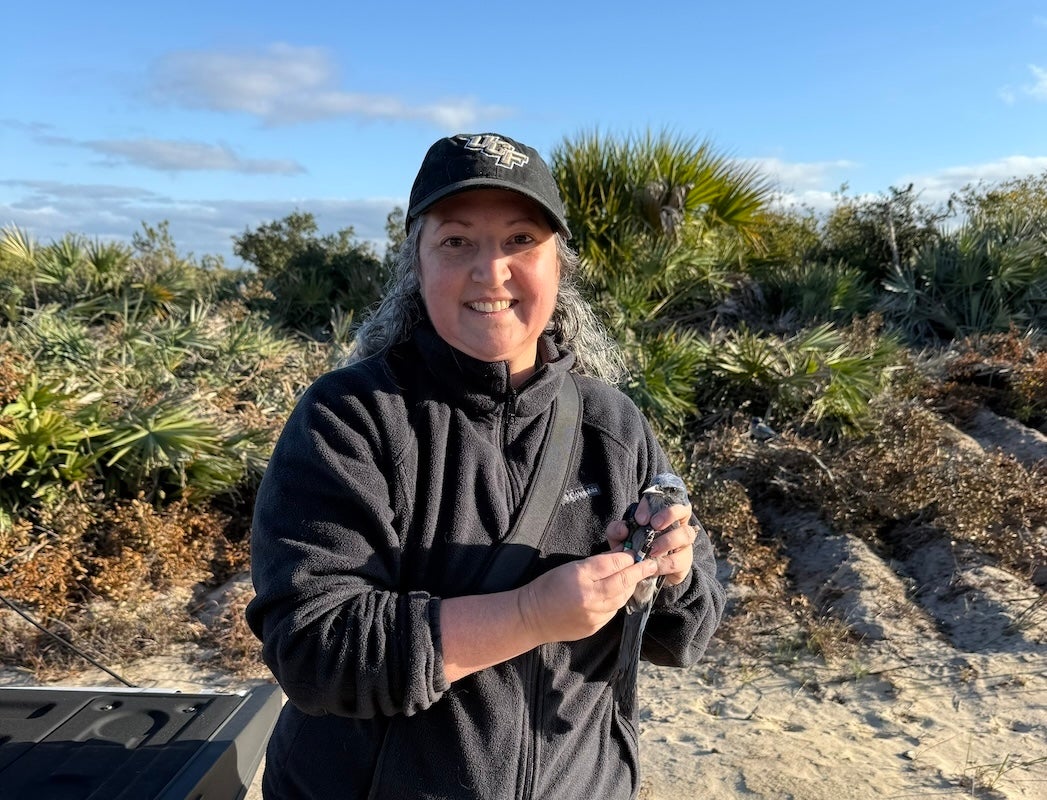 Senior Ecologist and UCF Ph.D. candidate Lauren Deaner holding a Florida Scrub-Jay during a field conservation project Lauren Deaner's Profile. She wears a black University of Central Florida baseball cap and a black fleece jacket, standing in a sunny, sandy coastal scrub landscape.