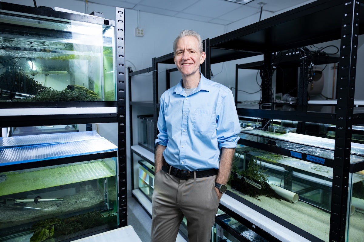 UCF Professor William Crampton stands between rows of aquariums in a research lab.
