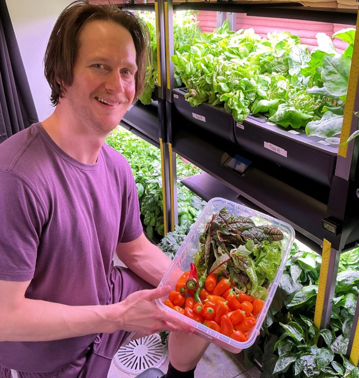 Man in purple shirt kneels next to shelves of green crops and holds a plastic bin loaded with red and green fruits and vegetables.