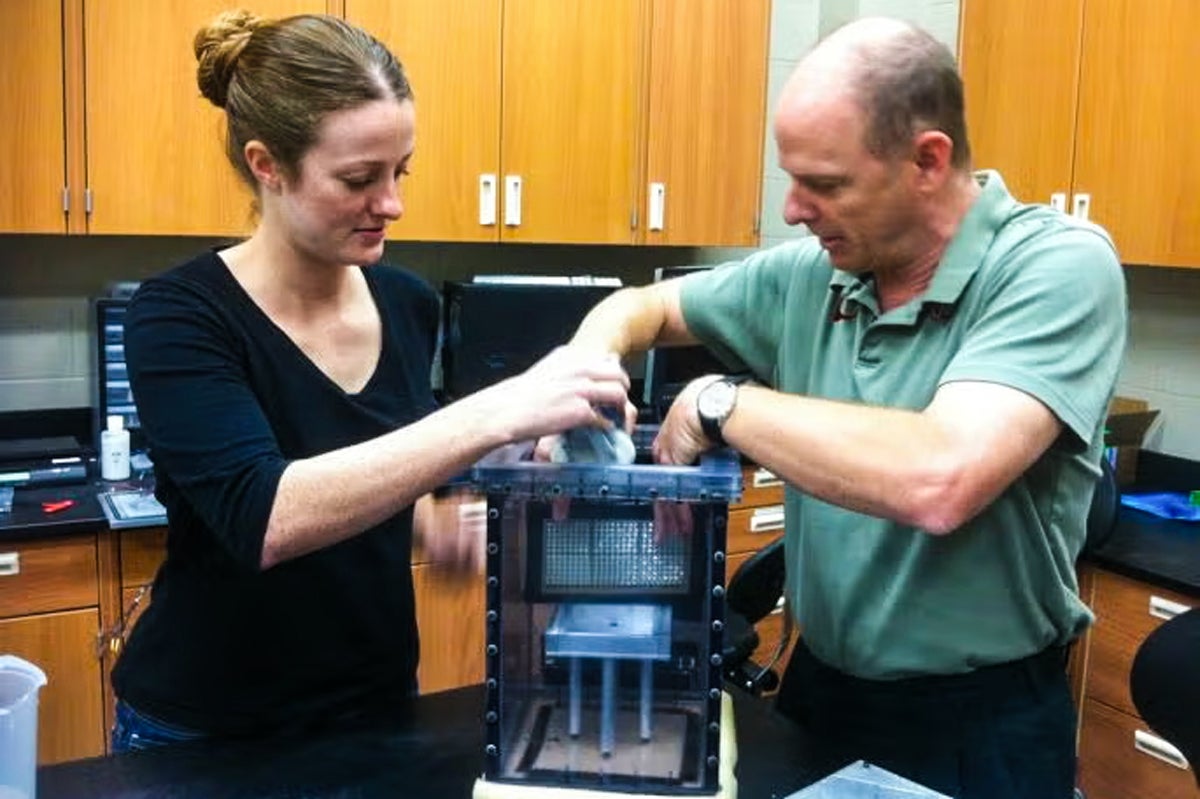 Two researchers examining a piece of equipment