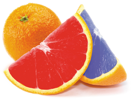 Photo of orange slices, one colored red, one colored blue