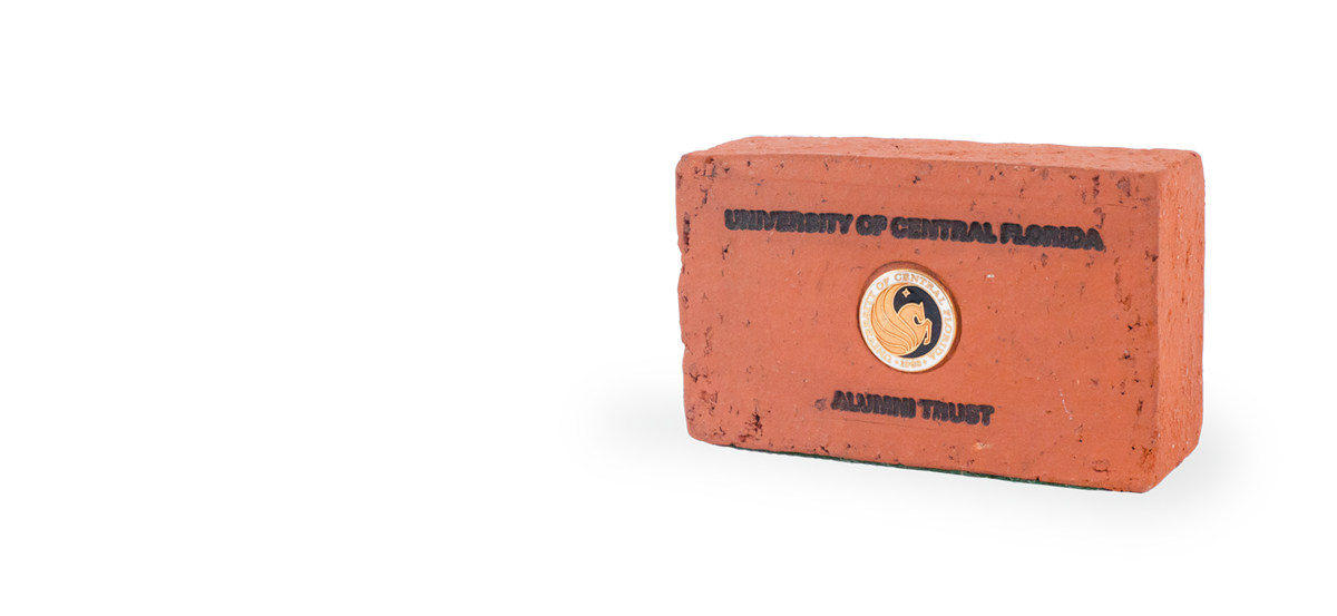 Brick for use with the Alumni Plaza wall.
