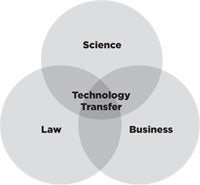 Venn diagram of Sciences, Law, and Business, with Technology Transfer at the center of the three