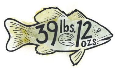 Big Catch