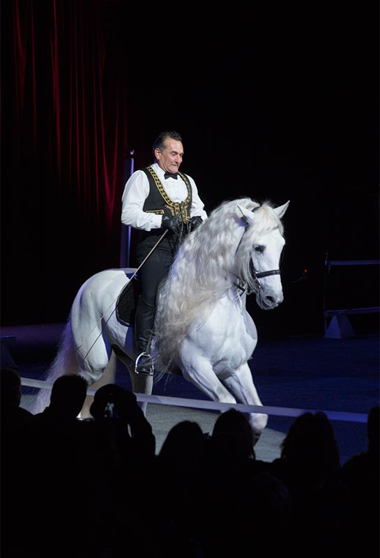 SLIDESHOWS_SPRING2015_oncampus_horsegala2