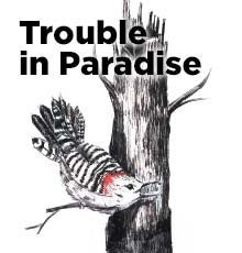 Trouble in Paradise