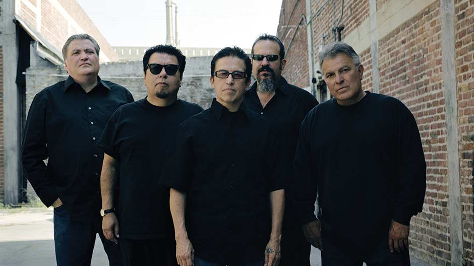 Los Lobos rock band