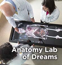 Anatomy Lab of Dreams