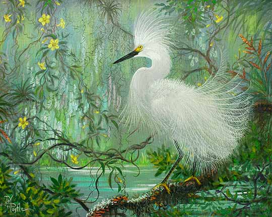 Painting of Egret by Joy Postle
