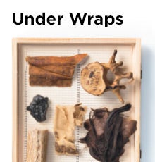 Artifact: Under Wraps