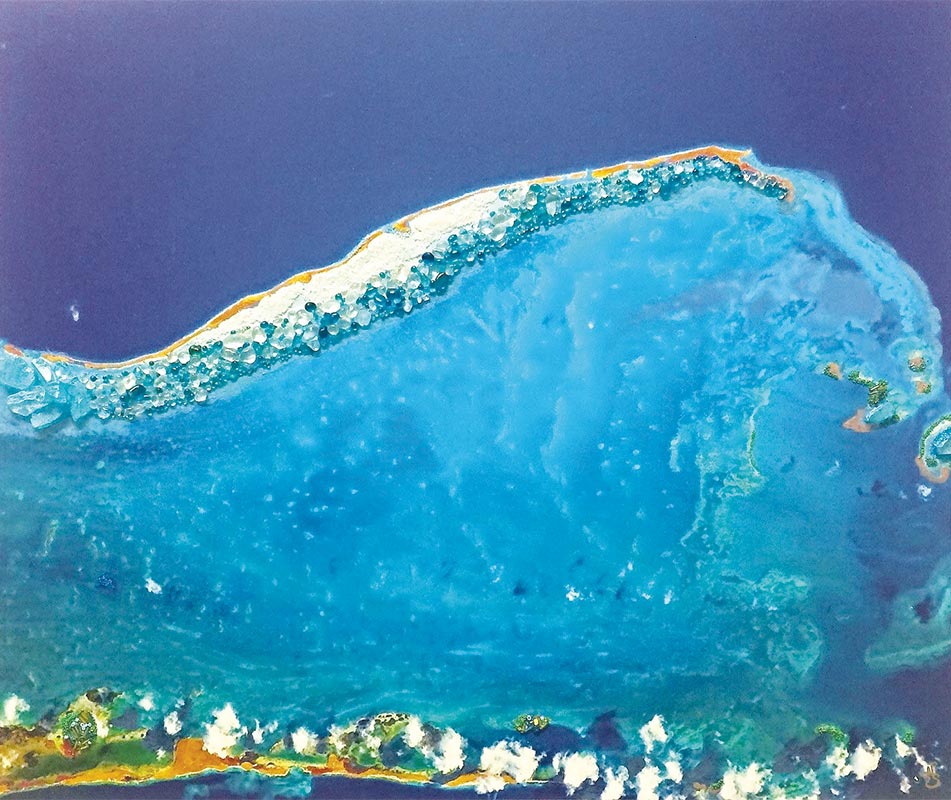 Painting by Nicole Stott Painting by Nicole Stott