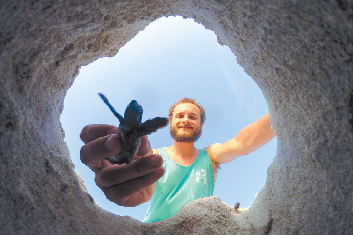 UCF researcher removes a sea turtle hatchling that didn’t emerge from a nest