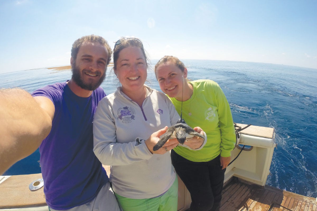 UCF researchers hold a juvenile turtle that has a tracking device on its back