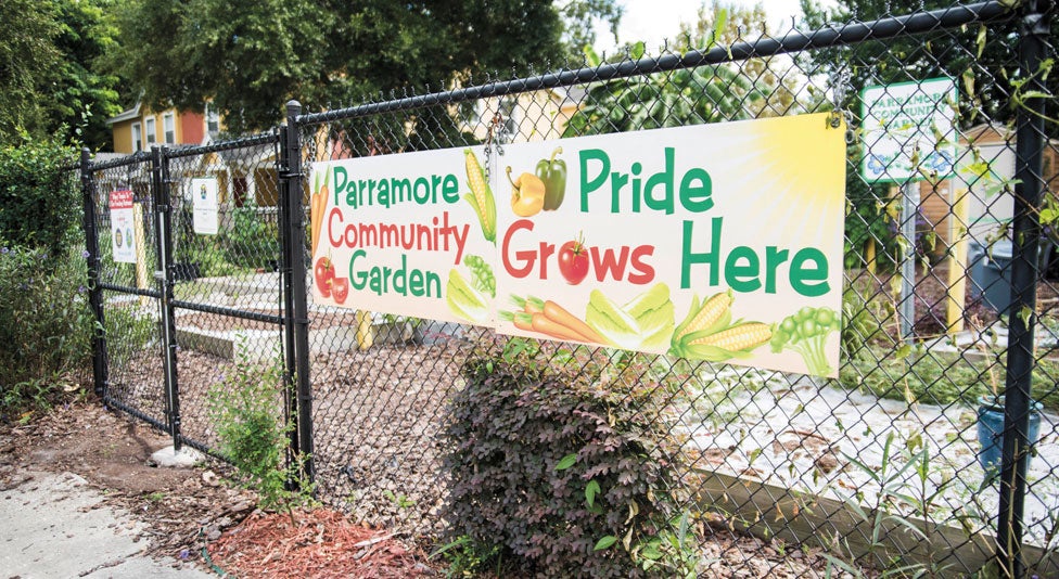 Parramore community garden