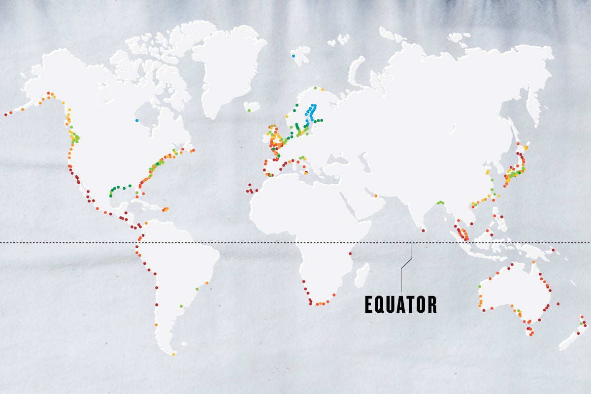 greyscale map of the world with different colored dots marking cities. The Equator is written in black text pointing to a black dotted line, which indicates the Equator