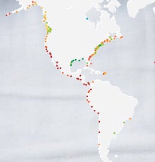 The Impact of Sea-Level Rise on Communities and Coastlines