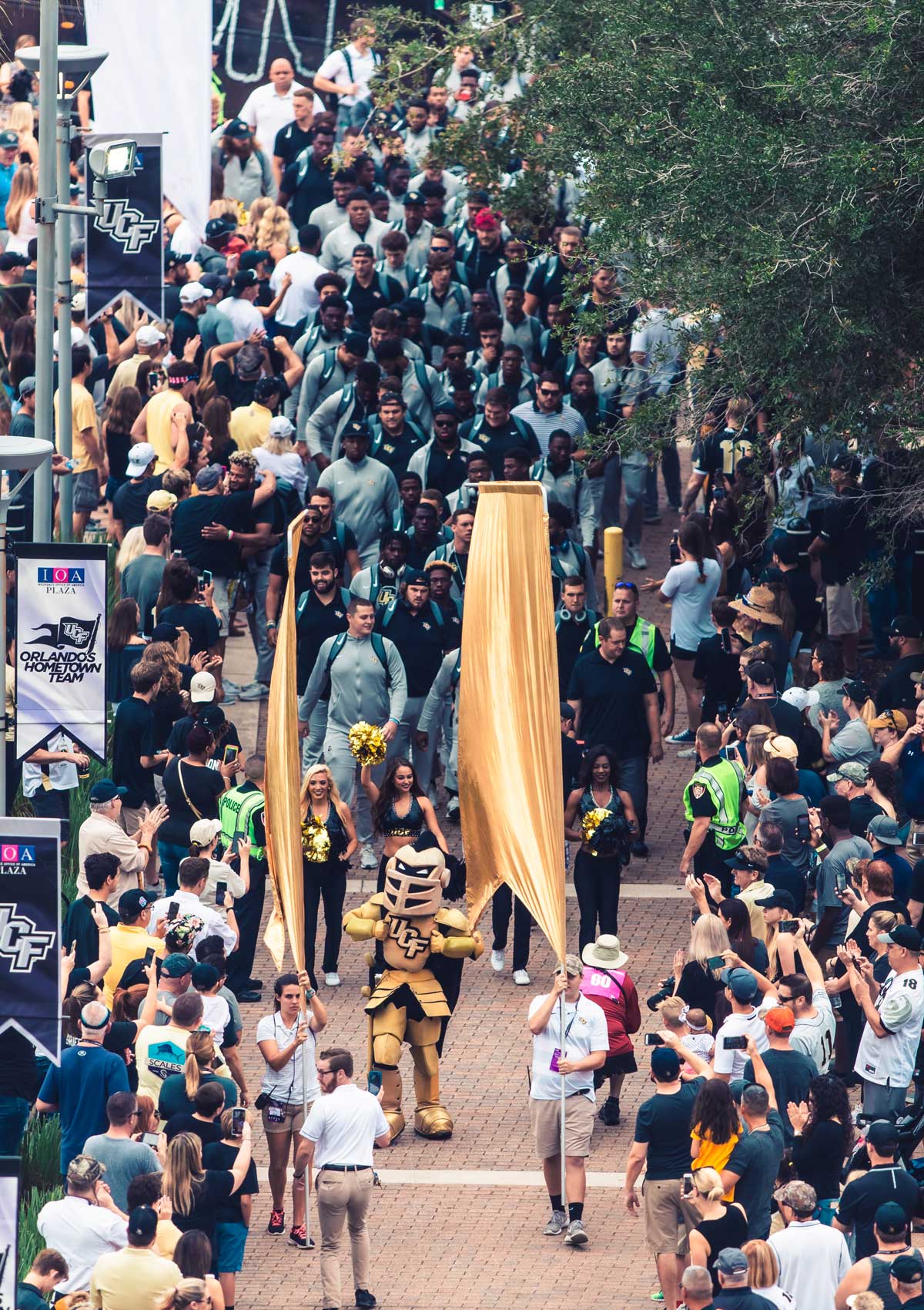 UCF mascot Knightro walks on a brick sidewalk with gold banners on either side of him and the team behind him as cheering fans line the path