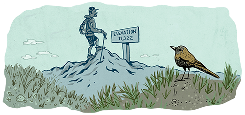 An illustration of a hiking on a trail