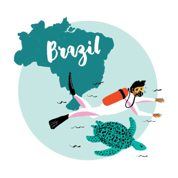 An illustration of Brazil with a turtle and a man scuba diving.