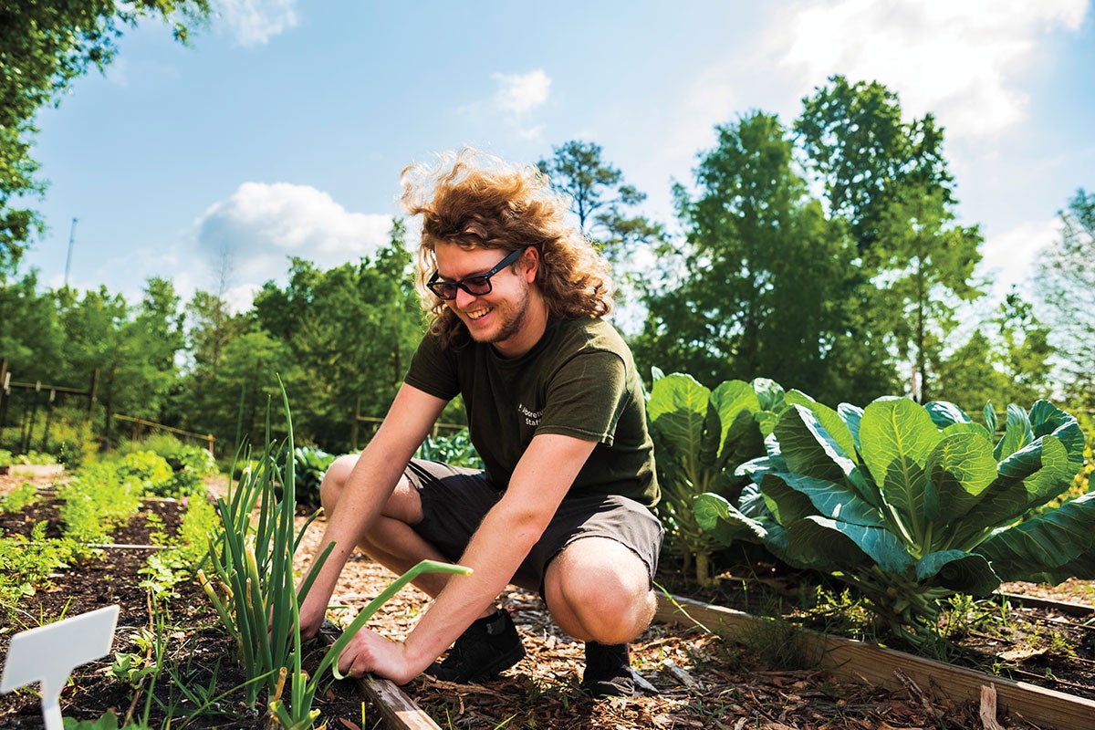 Andre Simoes pulls some weeds while gardening at the UCF Arboretum.