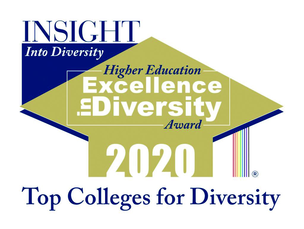 Insight from Diversity Higher Education Excellence in Diversity Award 2020 Logo.