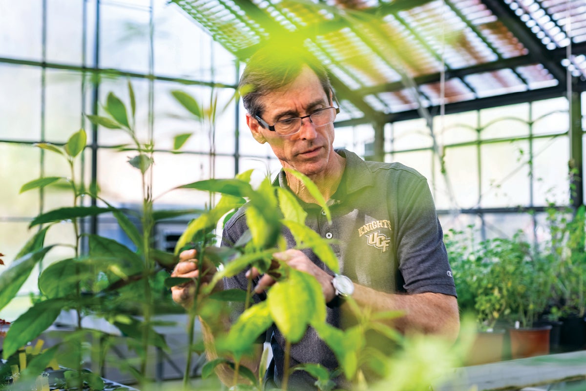 Patrick Boland works in a greenhouse