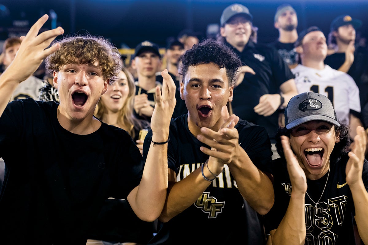 Fans cheering in the stadium