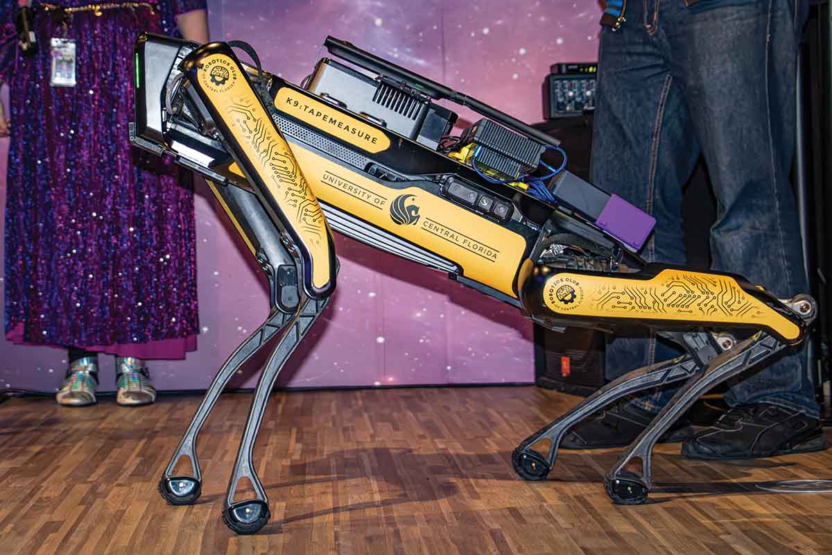 A robot dog in a black and yellow wrap