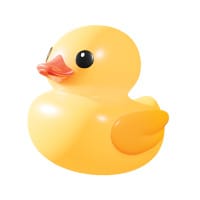 A rubber ducky