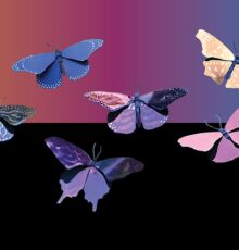 Life in Full Color