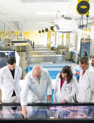 Anatomy Lab of Dreams story image